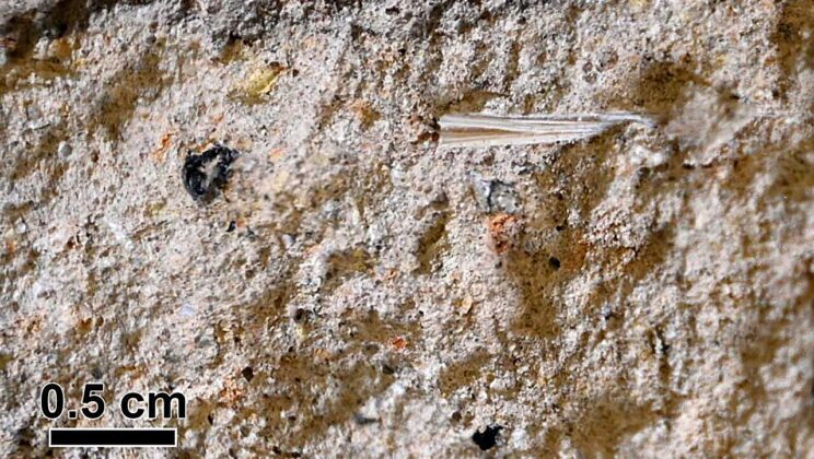 Ancient Jerusalem Fought Climate Change With an Engineering Marvel Hidden for 2800 Years