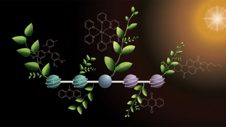 Humans Are Learning to Turn Sunlight into Fuel Like Plants