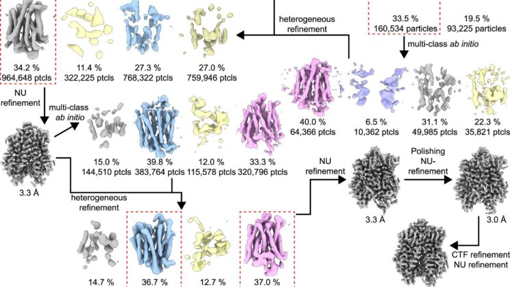 Scientists Uncover the Hidden Gene That Could End Chronic Pain Forever