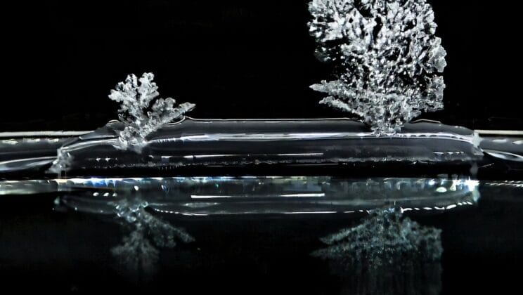 The Moment Salt Touched a Surface Changed Everything We Thought We Knew