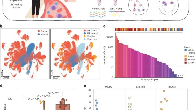 New Blood Test Sees Cancer Cells in Ways Doctors Never Could Before