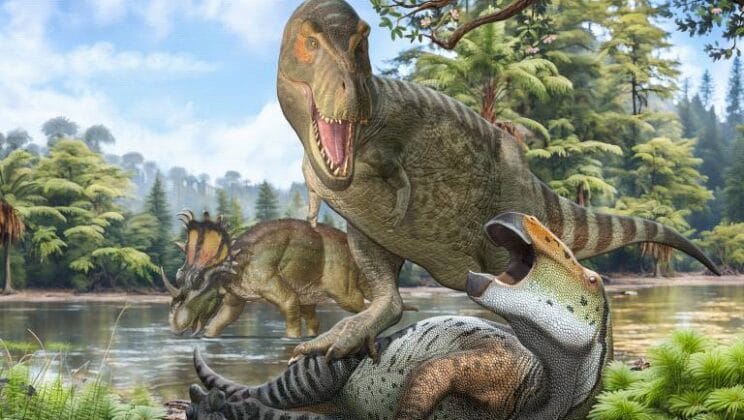 How Did Paleontologists Discover T. rex?