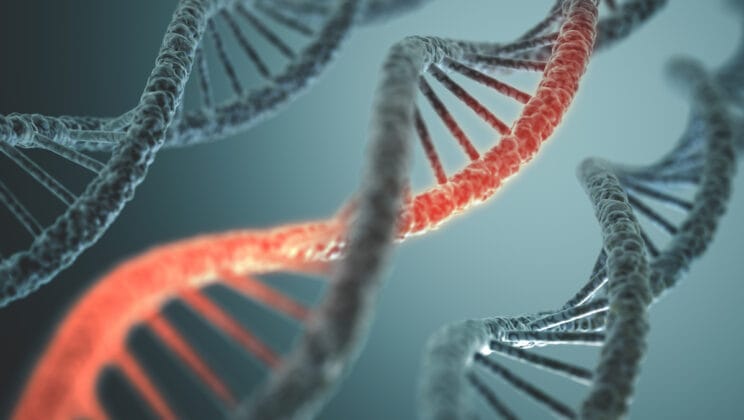 What Is a Genetic Mutation and Why Does It Matter?