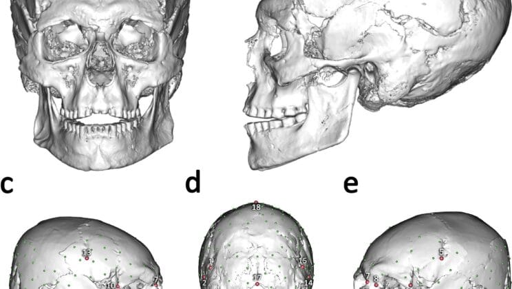 Ancient Skull From Italian Cave Reveals a Forgotten Ice Age Tradition