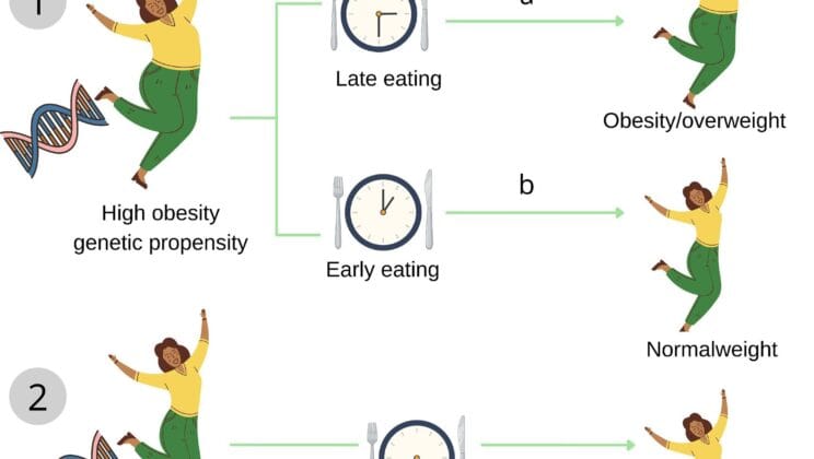 Your Body Has a Clock and Eating at the Wrong Time Could Trigger Obesity