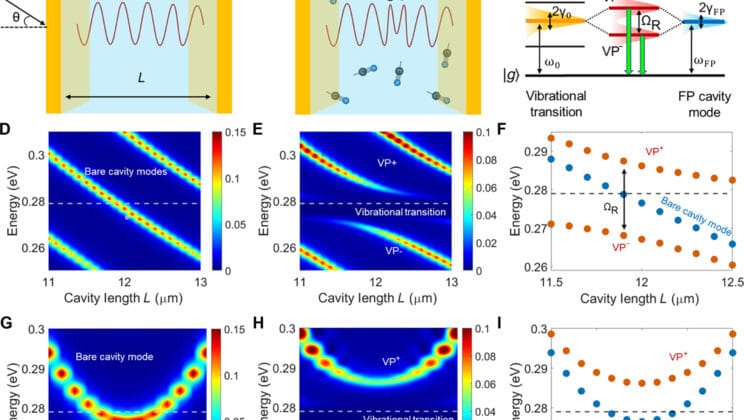 Scientists Uncover a Hidden Way Light and Molecules Speak to Each Other