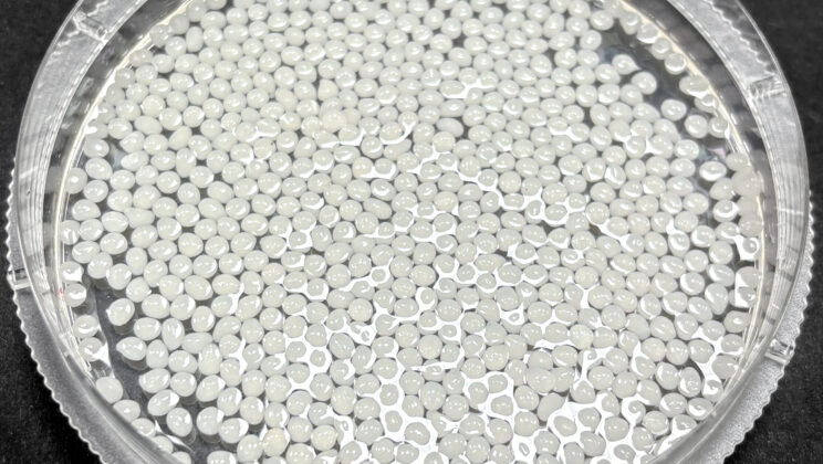 A New Way to Lose Weight? Scientists Develop Edible Beads That Block Fat