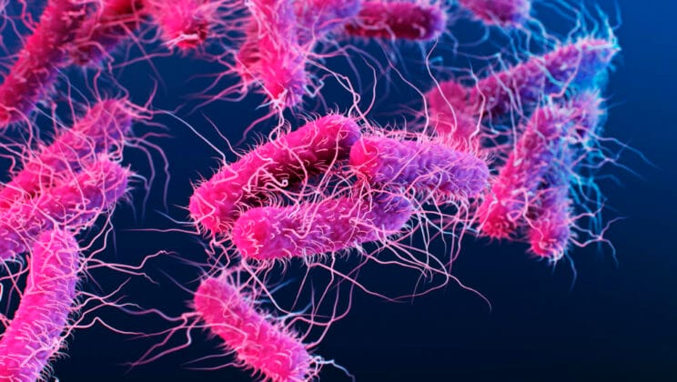 How Antibiotics Work to Kill Bacteria