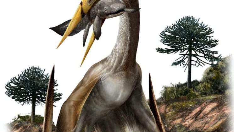 How Did Pterosaurs Differ From Dinosaurs?