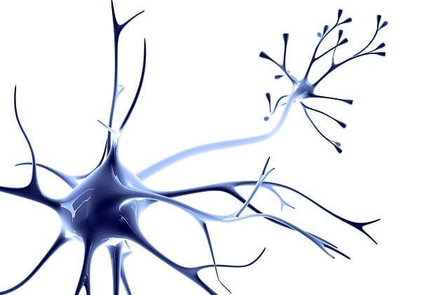 The Power of Habits: How Neural Pathways Shape Our Lives