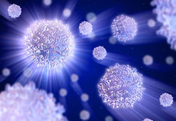 The Role of White Blood Cells in Fighting Infection