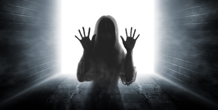 The Strange Persistence of Wonder in a World That Explains Everything