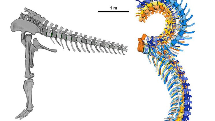 The Secret Movements of the Largest Dinosaurs Finally Revealed