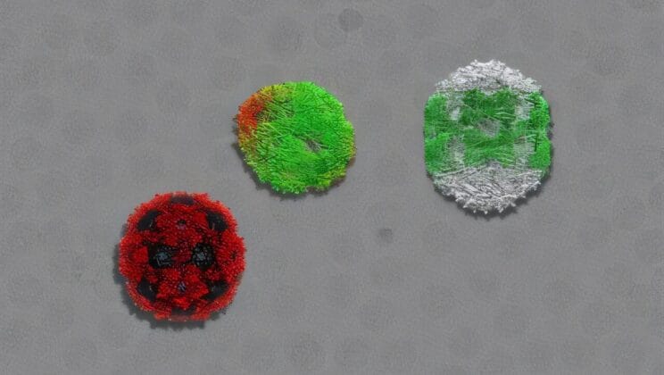 The Hidden Blueprint That Lets Viruses Outwit Life at the Smallest Scale