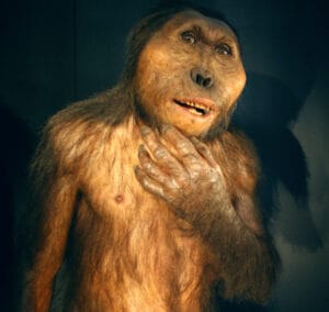 How Did Humans Lose Their Fur?
