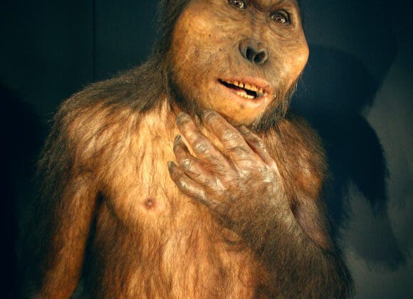 How Did Humans Lose Their Fur?