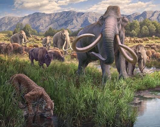 What Are Ice Age Fossils and Where Are They Found?