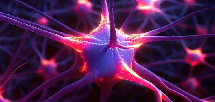 Scientists Discover Low Oxygen Might Protect the Brain from Decay