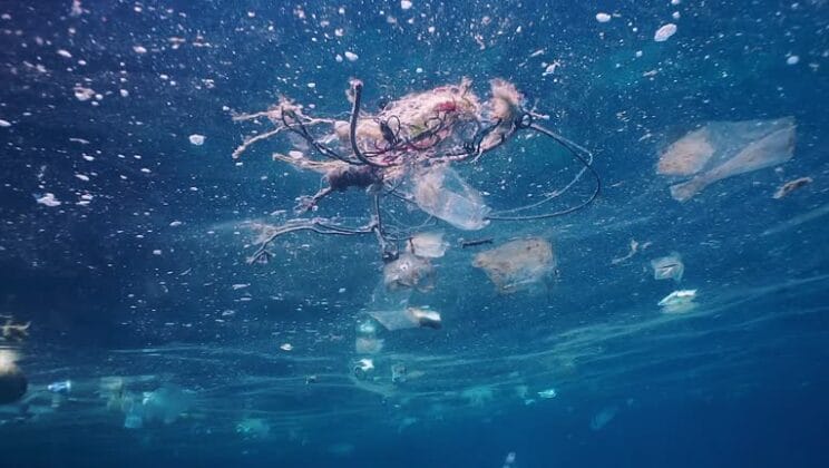 Ocean Pollution and Microplastics: A Global Problem in Every Drop