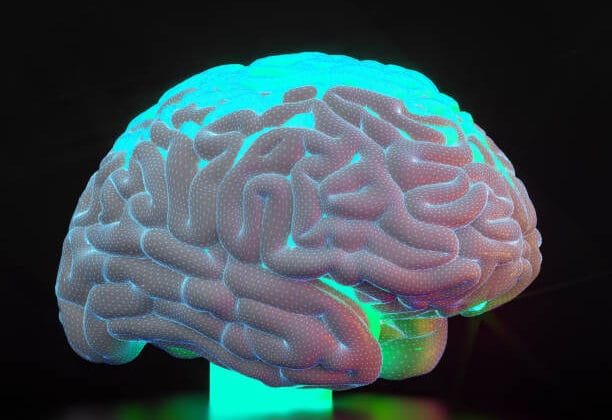 How Multitasking Affects the Brain