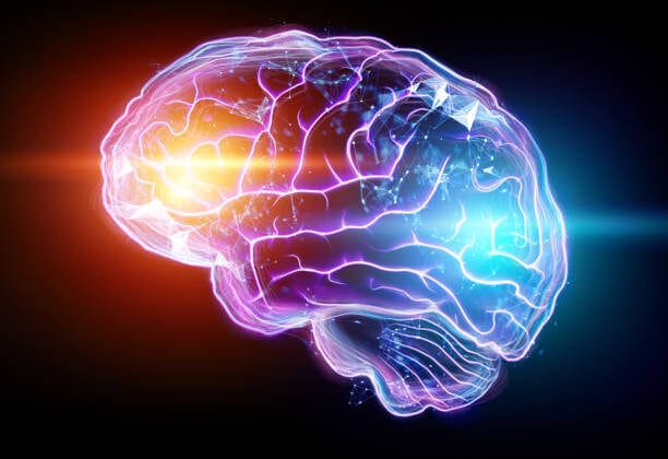 Why We Procrastinate: A Neuroscientific View