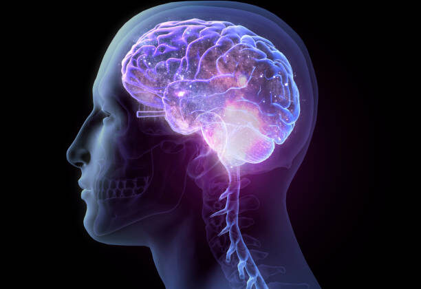 How Does Consciousness Arise From the Brain?