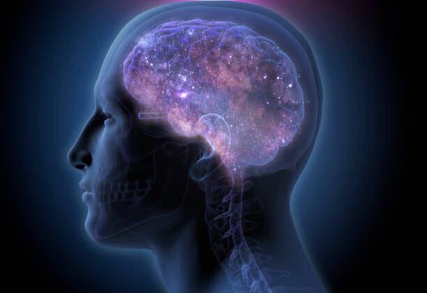 Your Brain on Dopamine: The Science of Motivation and Pleasure