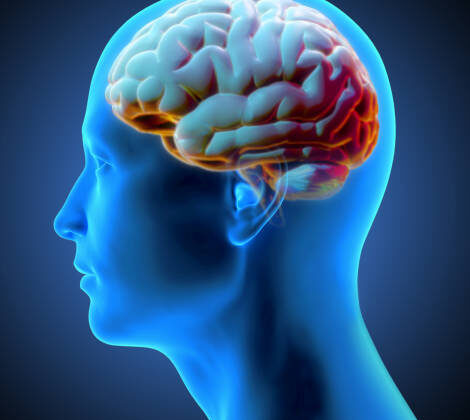 Could We Hack Human Memory Like a Computer?