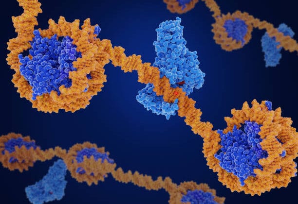 Epigenetics: How Environment Influences Cell Behavior