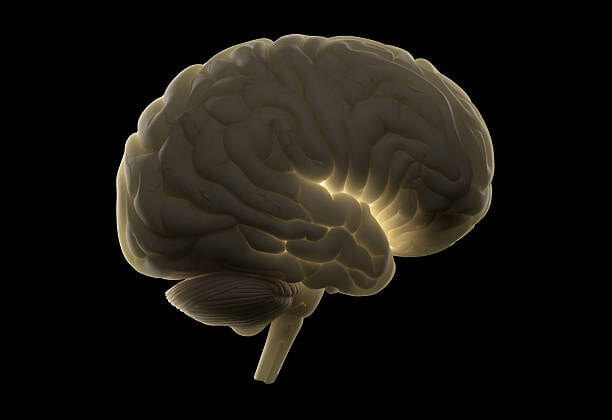 Memory Palace Method: A Neurological Look at Mnemonics