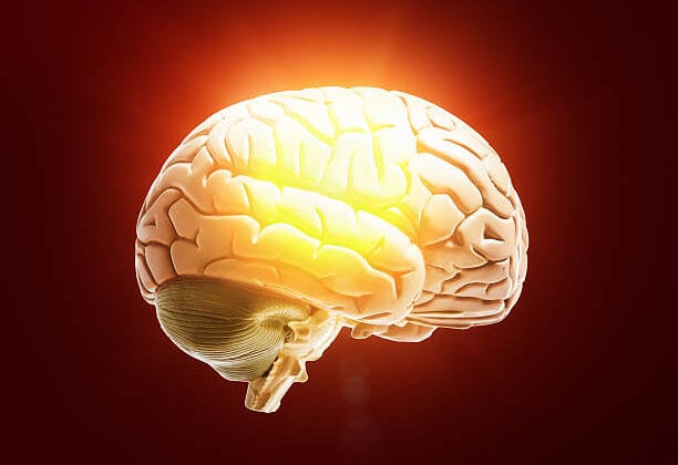 How the Brain Handles Pain