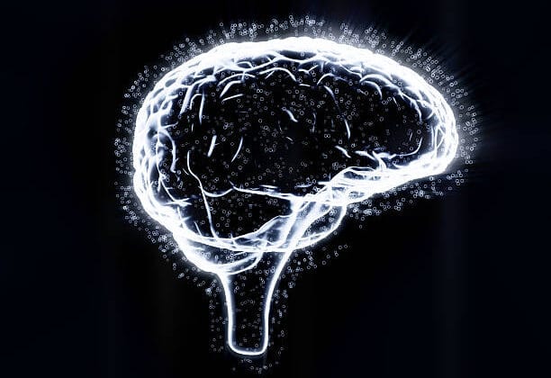 How Therapy Rewires the Brain