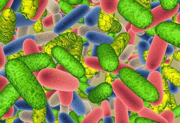 What Are Microbiomes and Why Are They Important?