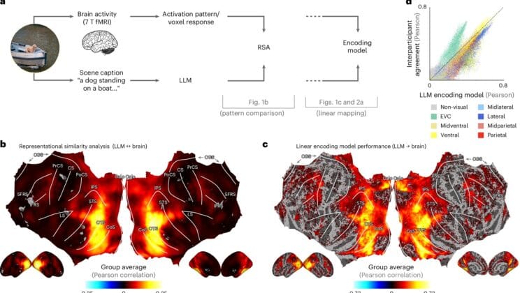 The Stunning Discovery That AI Understands the World Almost Like We Do