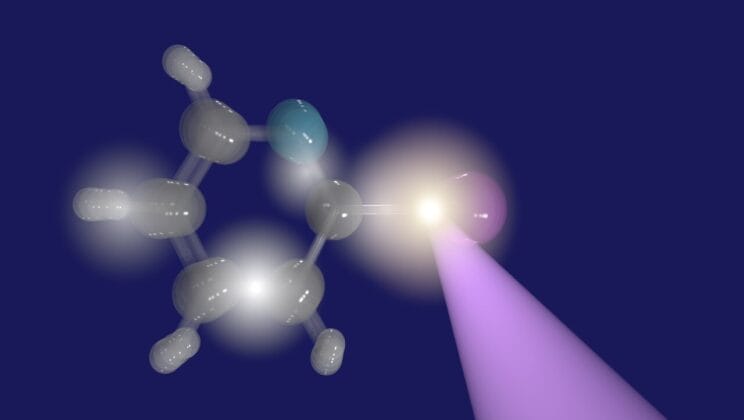 The Secret Motion That Never Stops Even in the Deepest Cold