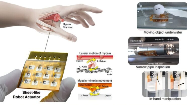 Paper Thin Robot Inspired by Human Muscle Could Change Surgery Forever