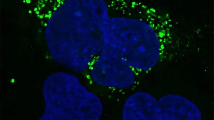 Scientists Just Found Thousands of Tiny Proteins We Never Knew Existed