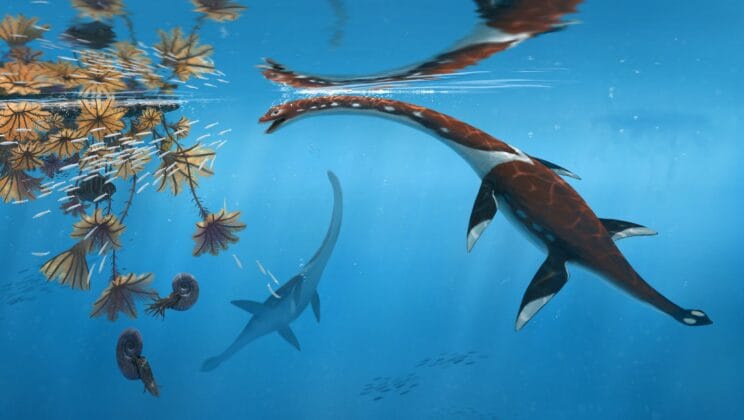 New Species of Long-Necked Marine Reptile Discovered in Germany