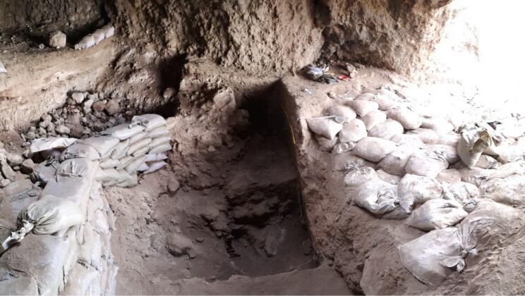 Humanity’s First Farmers Were Harvesting Barley Thousands of Years Earlier Than We Imagined