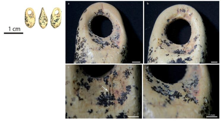 The Cave That Holds the Secrets of the First Europeans