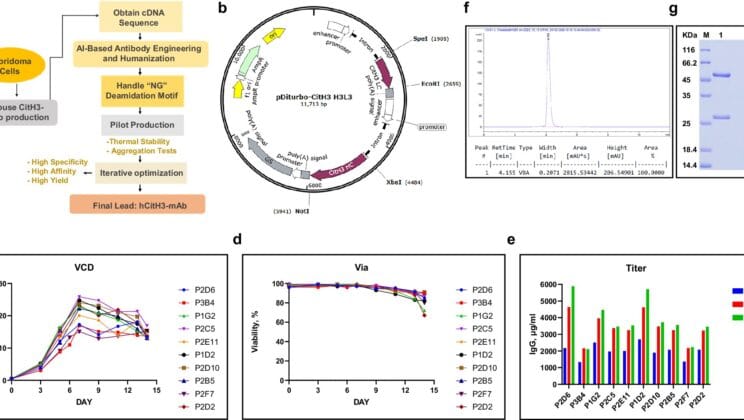 Scientists Unveil Antibody That Could End the Deadly Mystery of Sepsis