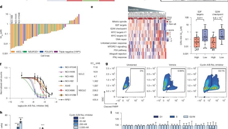 Scientists Discover a Hidden Kill Switch in Cancer Cells That Spares the Healthy Ones