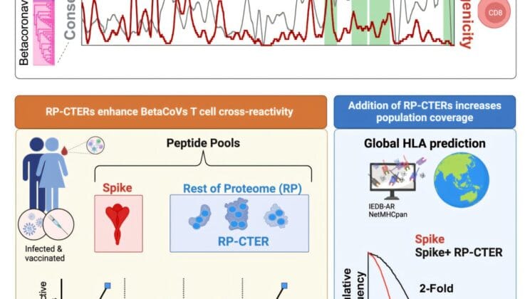 Scientists Move Closer to a Vaccine That Could Stop the Next Pandemic Before It Starts