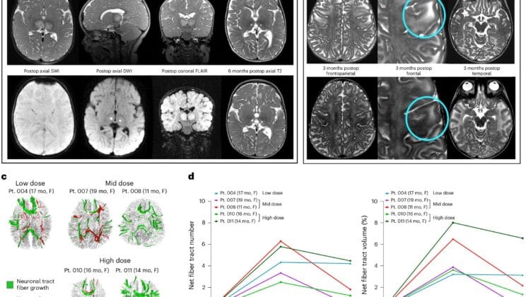 The First Sparks of Healing Emerge in a Battle Once Thought Impossible