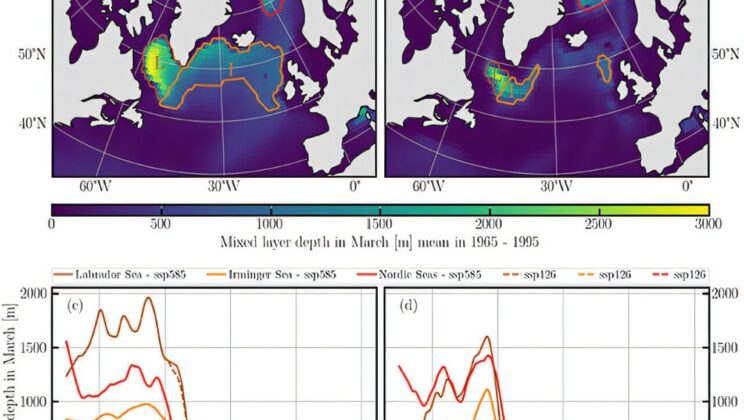 Scientists Warn the Ocean’s Hidden Heartbeat Could Soon Fall Silent