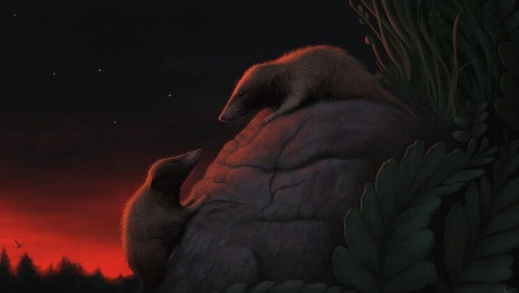 New Species Discovery Closes a 33 Million Year Gap in Mammal History