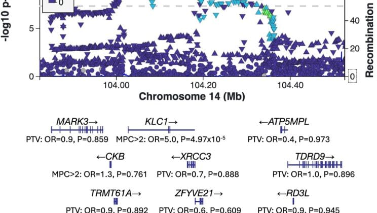 Schizophrenia’s Code Begins to Crack With Eight Newly Discovered Genes