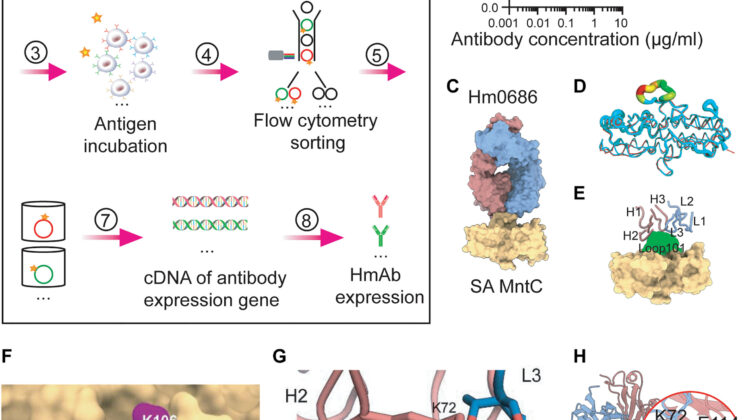 Scientists Discover a Game-Changing Vaccine That Could Defeat Drug-Resistant Superbugs