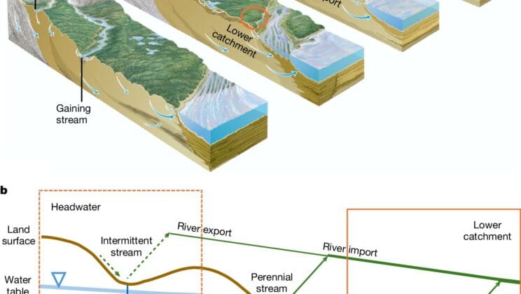 The Mystery of How Lush Oases Thrive in the Heart of Arid Lands Is Finally Solved