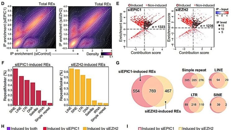 Scientists Uncover Hidden RNA Switch That Helps Cancer Vanish From the Immune System